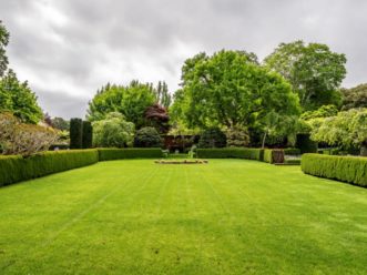 Comment tailler les arbres feuillus