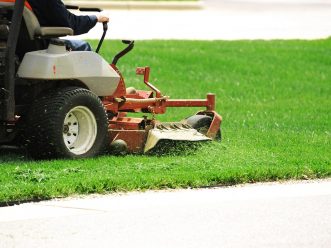 Astuces pour réussir la tonte de la pelouse