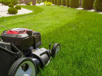 Choisir sa tondeuse en fonction de son jardin