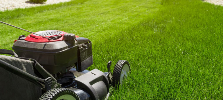 Choisir sa tondeuse en fonction de son jardin